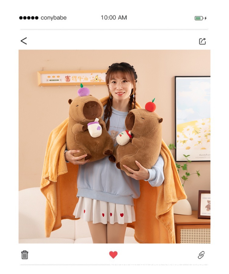 厂家现货新款卡皮巴拉抱枕被子两用二合一空调被办公室午睡毯批发详情10