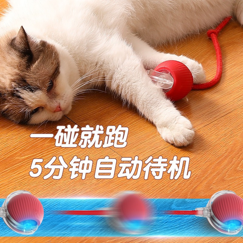 Intelligent automatic dog walking ball, dog toy ball, biting resistant, self-entertaining pet cat playmaker, dog ball, little cat puffing ball details Picture
