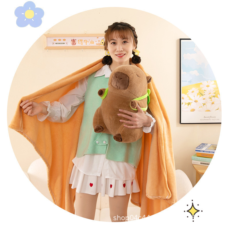 厂家现货新款卡皮巴拉抱枕被子两用二合一空调被办公室午睡毯批发详情8