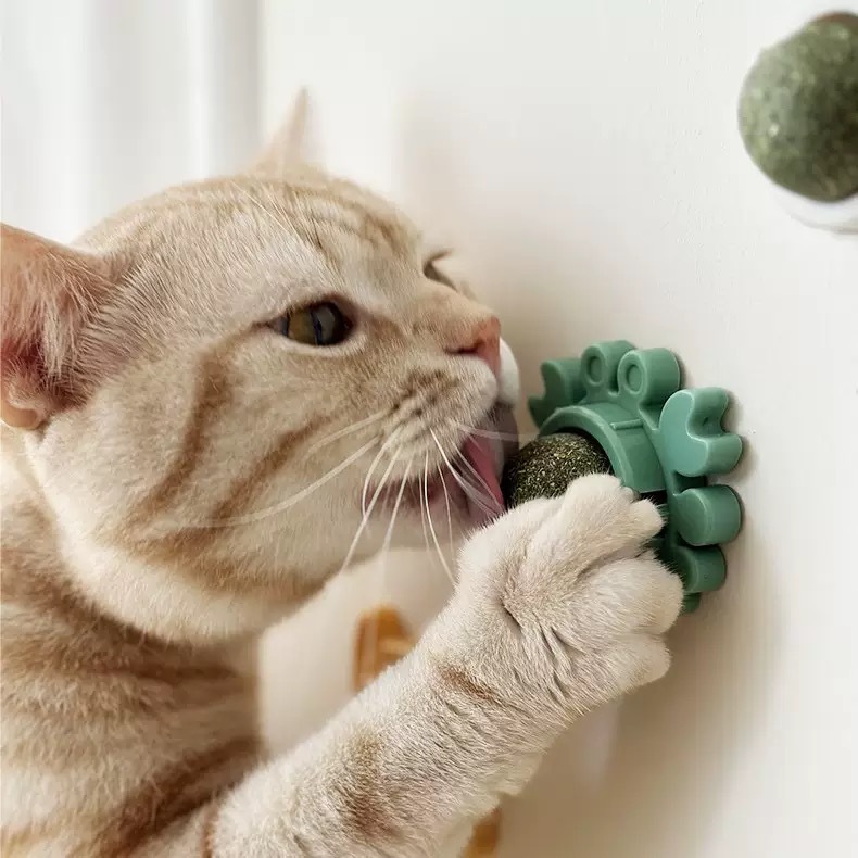Catnip balls, cat toys, gall fruits, pet toys, pet supplies, catnip manufacturer wholesale direct pic 5
