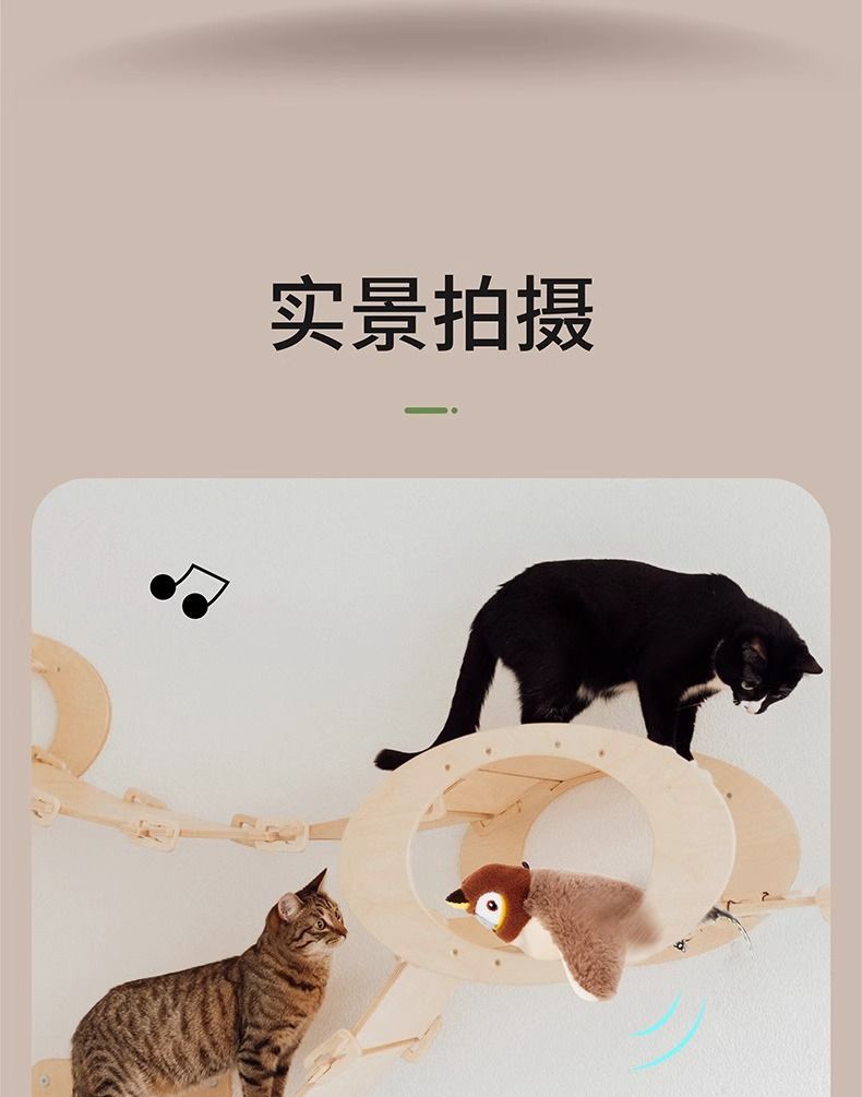 Best-selling electric shaking bird cat toy, sparrow chirping simulation toy, cat play for self-entertainment, cat teasing stick pic 12