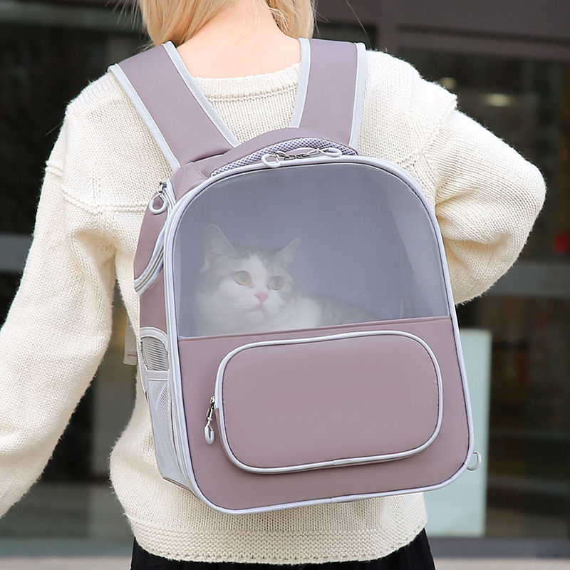 Pet space bag, dog breathable, cat bag, large-capacity transparent backpack details Picture