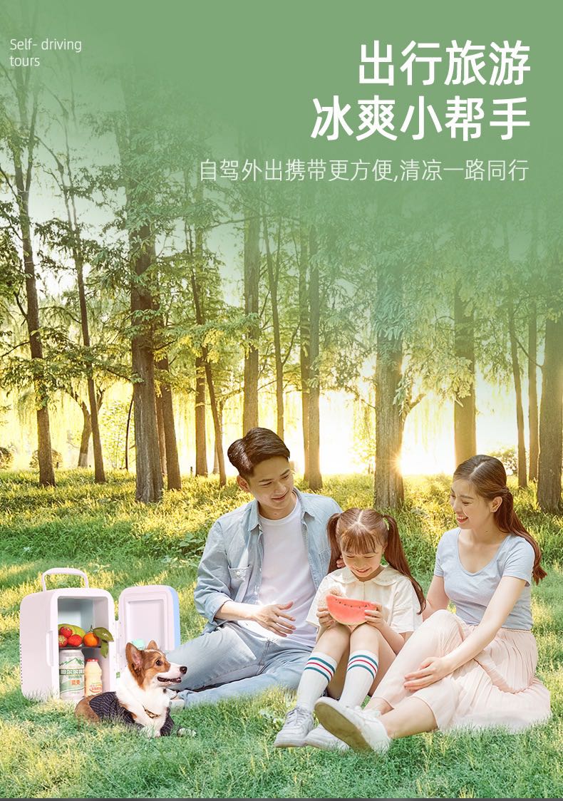 8L portable car refrigerator for both home and car use, small heating and cooling box pic 3