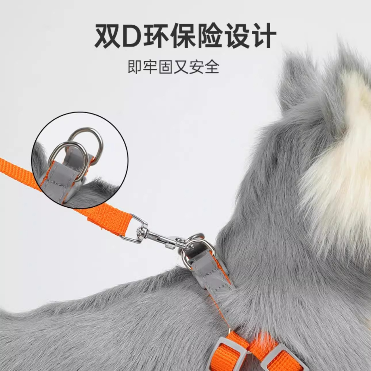 import产品图