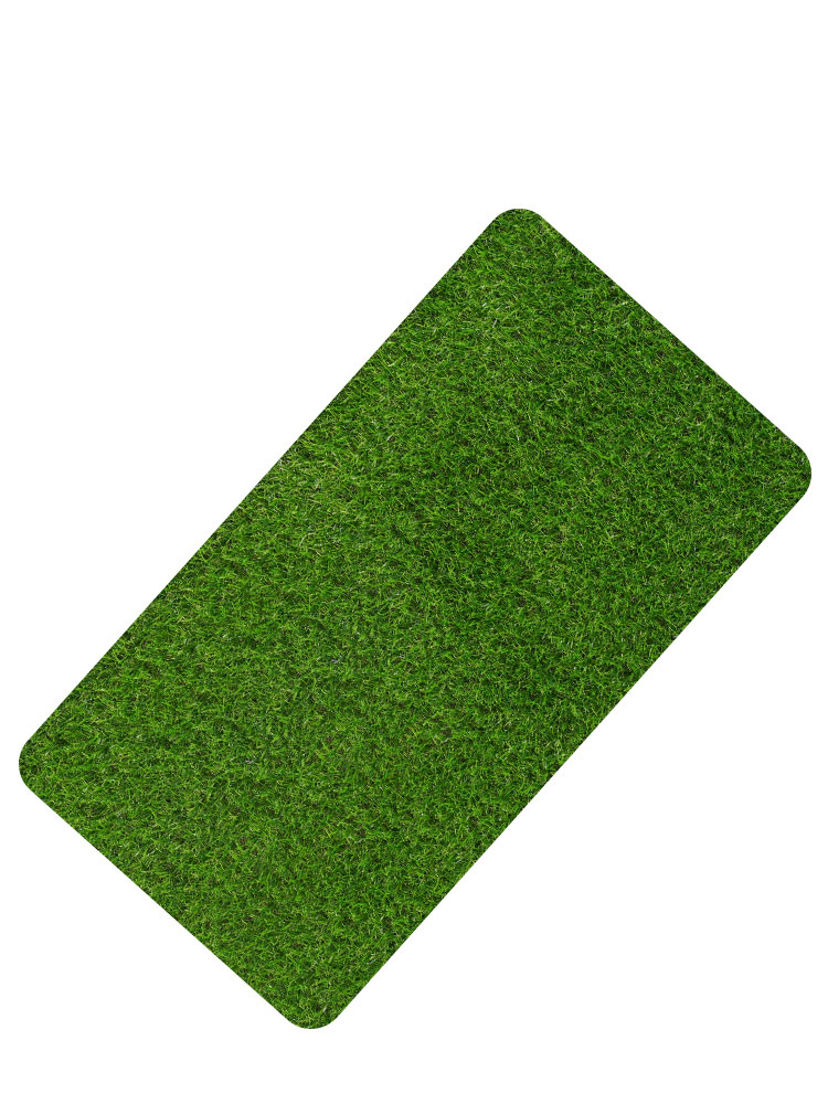 BTV4 artificial artificial turf carpet, pet grass mat, home door entrance floor mat, living room grass green, can be cut