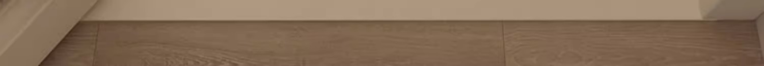 入户门丝圈地垫家用门前垫进门门口脚垫地毯日式防滑耐脏玄关门垫详情2