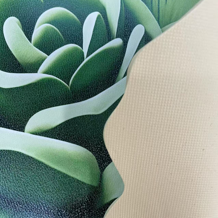 Patterned floor mat, anti-slip and water-absorbing, bathroom and kitchen door carpet Item Picture