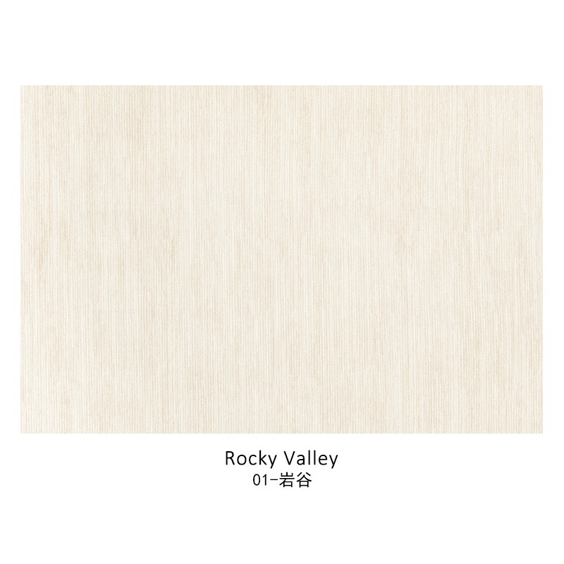The new minimalist carpet for the living room, thickened for home use, and a large area of bedside floor MATS for the bedroom are all laid in 2024, creating a light luxury and high-end feel Item Picture