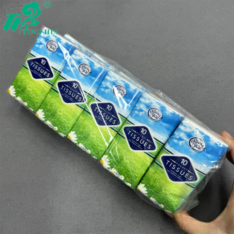 【庭惠】纸巾卫生纸手帕纸餐巾纸小包式随身装面巾纸纸巾10包
