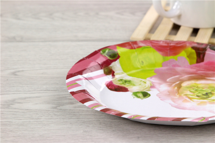 Disposable paper plates, birthday plates, cake plates, snack plates pic 7
