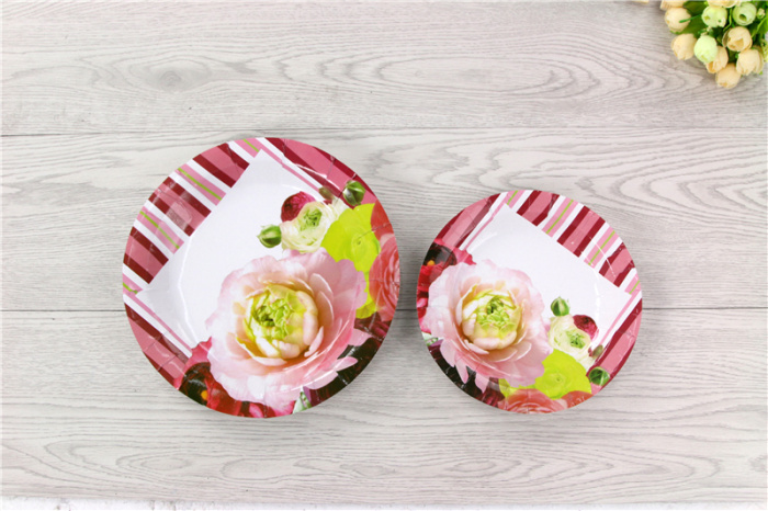 Happy birthday! Dinner plates, cake plates, disposable paper plates, snack plates and plates pic 6