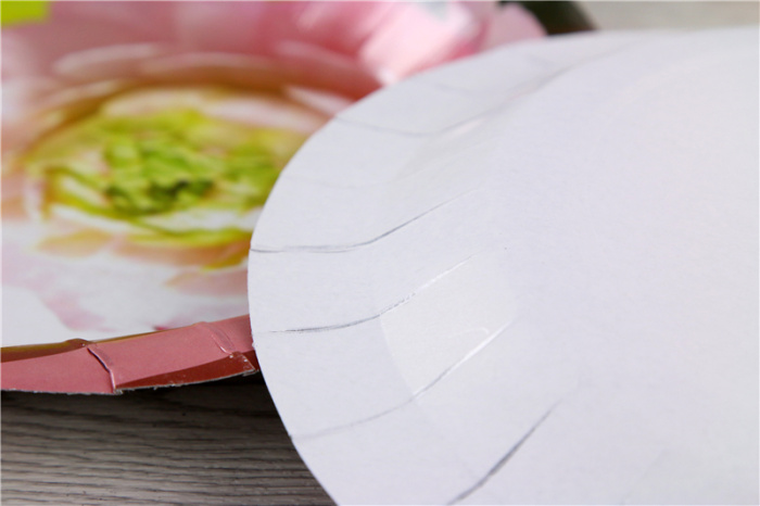 Disposable paper plates, birthday plates, cake plates, snack plates pic 9