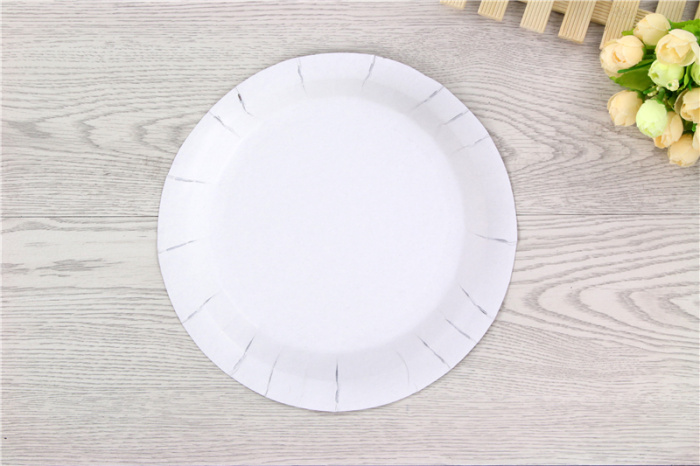 Disposable paper plates, birthday plates, cake plates, snack plates pic 8
