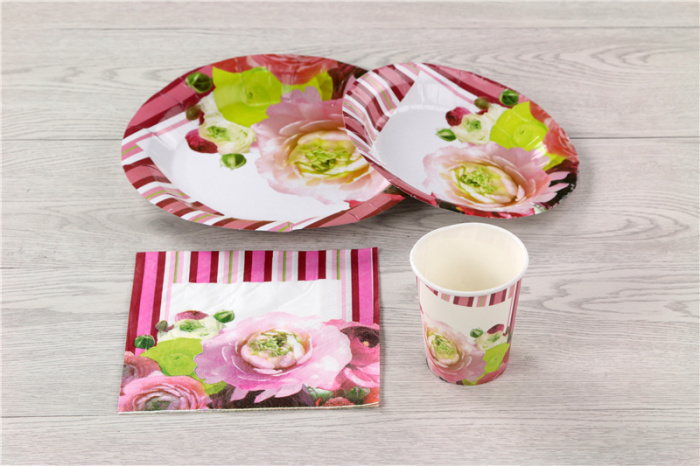 Happy birthday! Dinner plates, cake plates, disposable paper plates, snack plates and plates pic 7