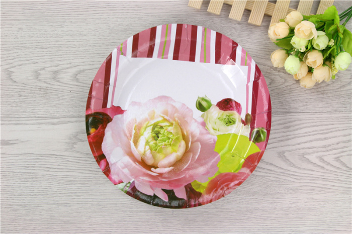 Disposable paper plates, birthday plates, cake plates, snack plates pic 4