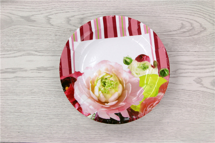 Happy birthday! Dinner plates, cake plates, disposable paper plates, snack plates and plates pic 5