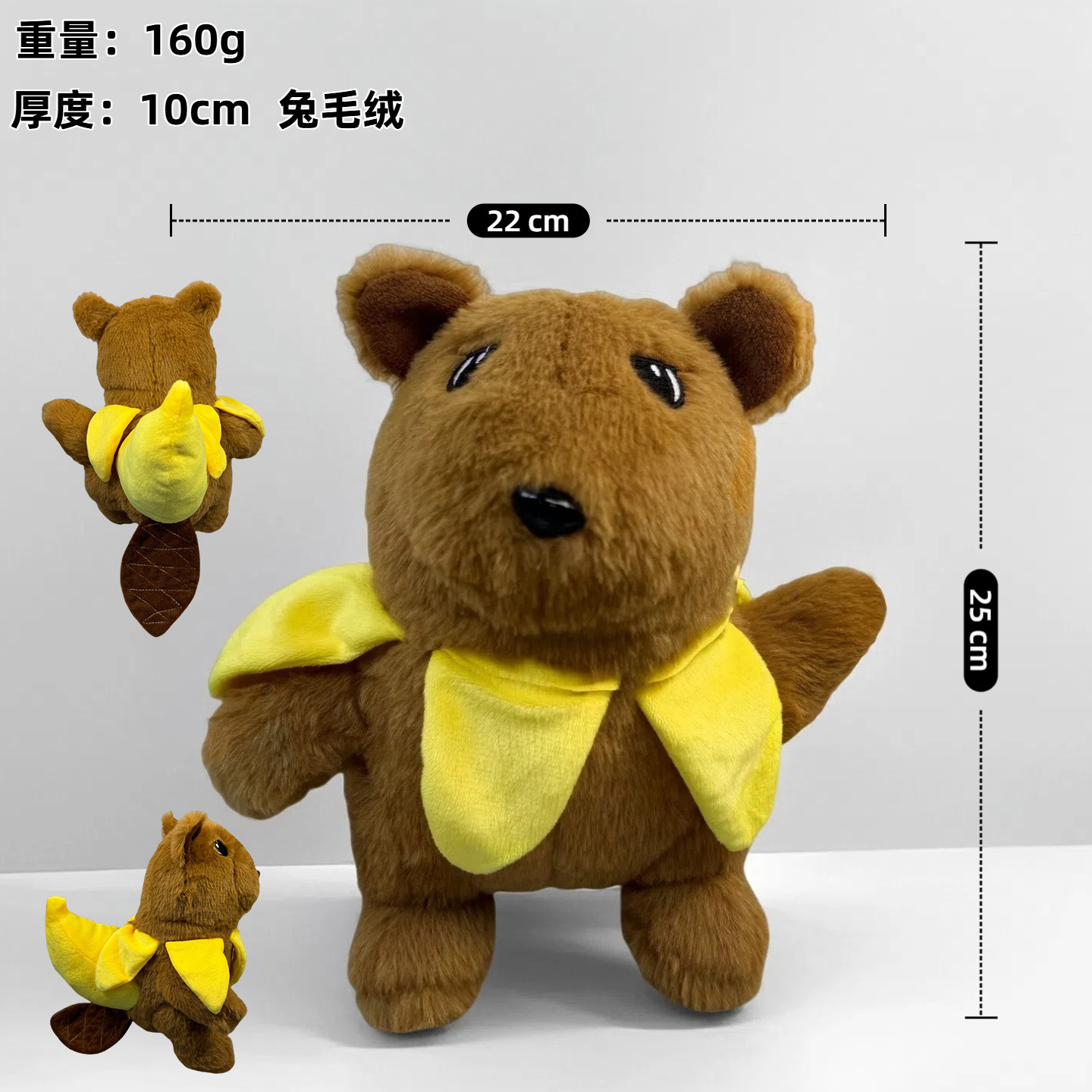 import白底实物图