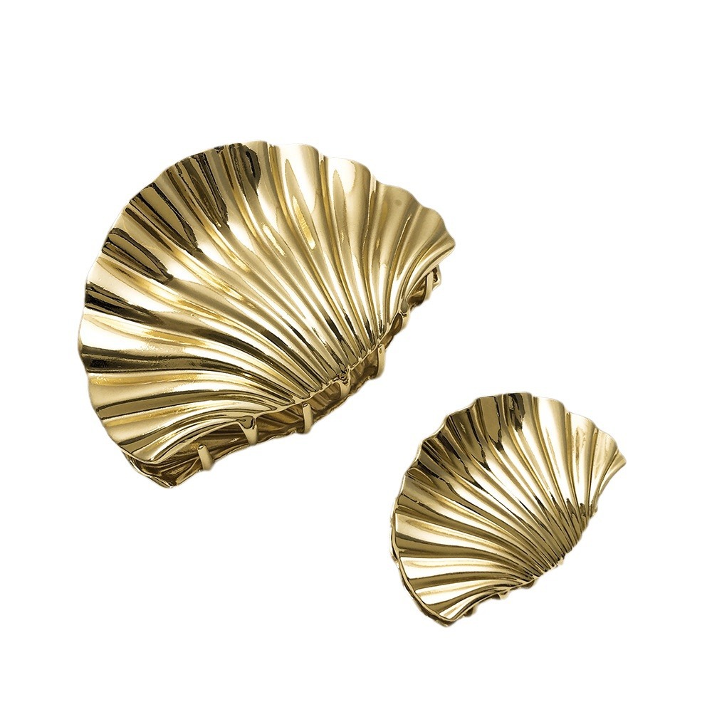 海螺/贝壳/珊瑚实物图