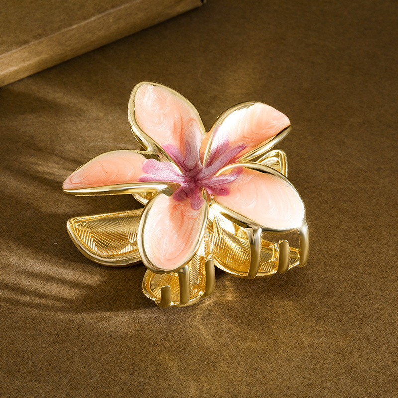 import白底实物图