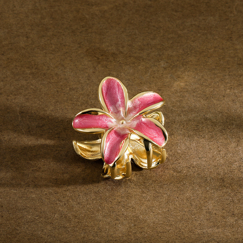 明星同款渐变色emijay鸡蛋花小清新花朵女抓夹发夹大号鲨鱼夹发饰详情11