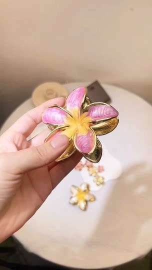 明星同款渐变色emijay鸡蛋花小清新花朵女抓夹发夹大号鲨鱼夹发饰详情6