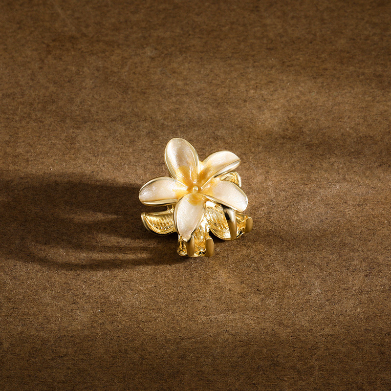 明星同款渐变色emijay鸡蛋花小清新花朵女抓夹发夹大号鲨鱼夹发饰详情7