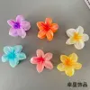 European and American frangipani seaside vacation hair clip, back of the head updo, side grab Bauhinia flower grab clip, shark clip hair accessory Item Picture
