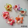 European and American frangipani seaside vacation hair clip, back of the head updo, side grab Bauhinia flower grab clip, shark clip hair accessory Application Scenario