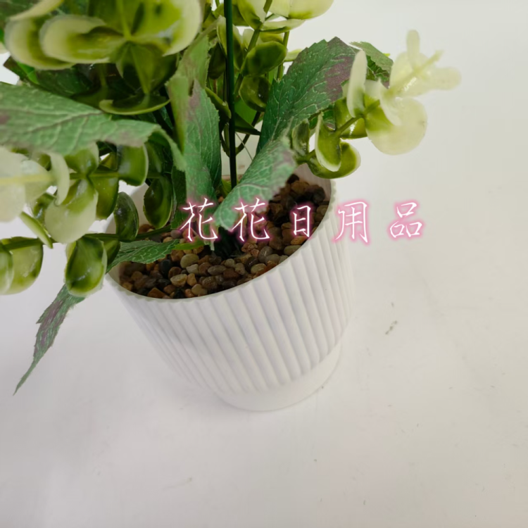 花盆容器实物图