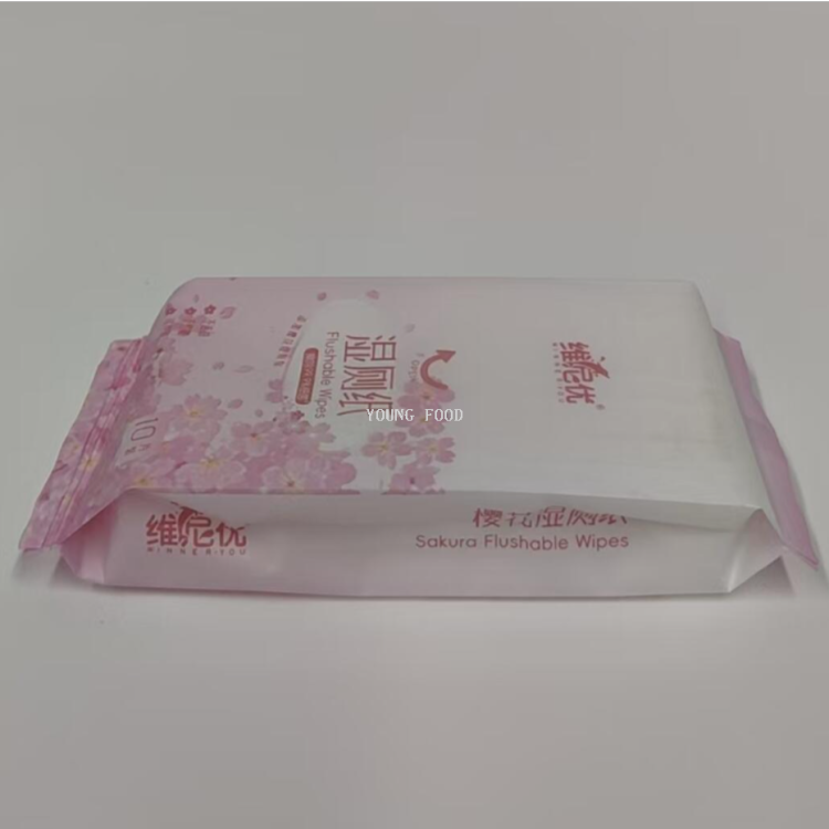 包邮！加厚湿擦湿厕纸10片装 个清洗护WATCH YOUR TONE日用百货