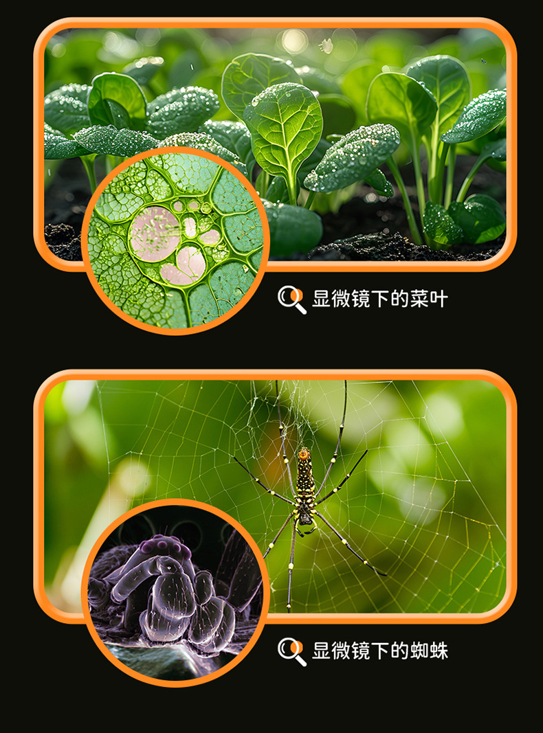 儿童便携式显微镜迷你中小学生科学实验科教玩具套装益智户外探索详情14