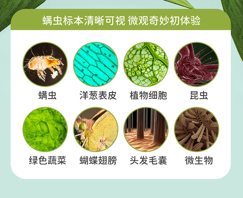 儿童便携式显微镜迷你中小学生科学实验科教玩具套装益智户外探索详情11