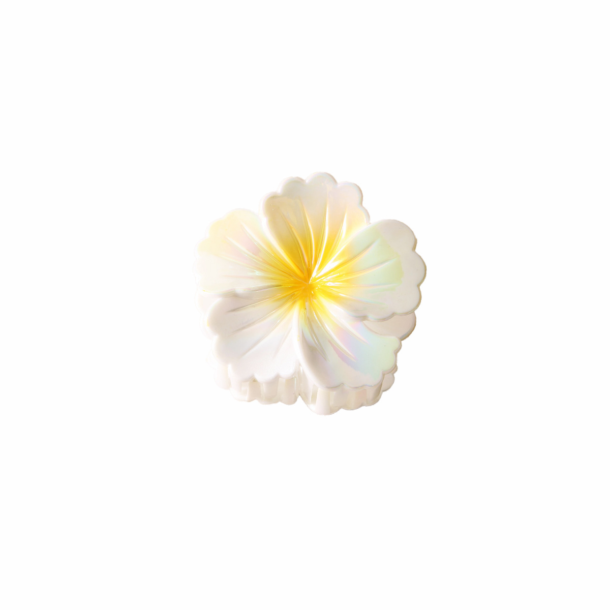 import白底实物图