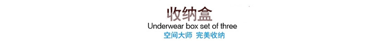 厂家直销PS20片装一包三角盘手机壳创意粘贴挂件盒水钻盒等详情2