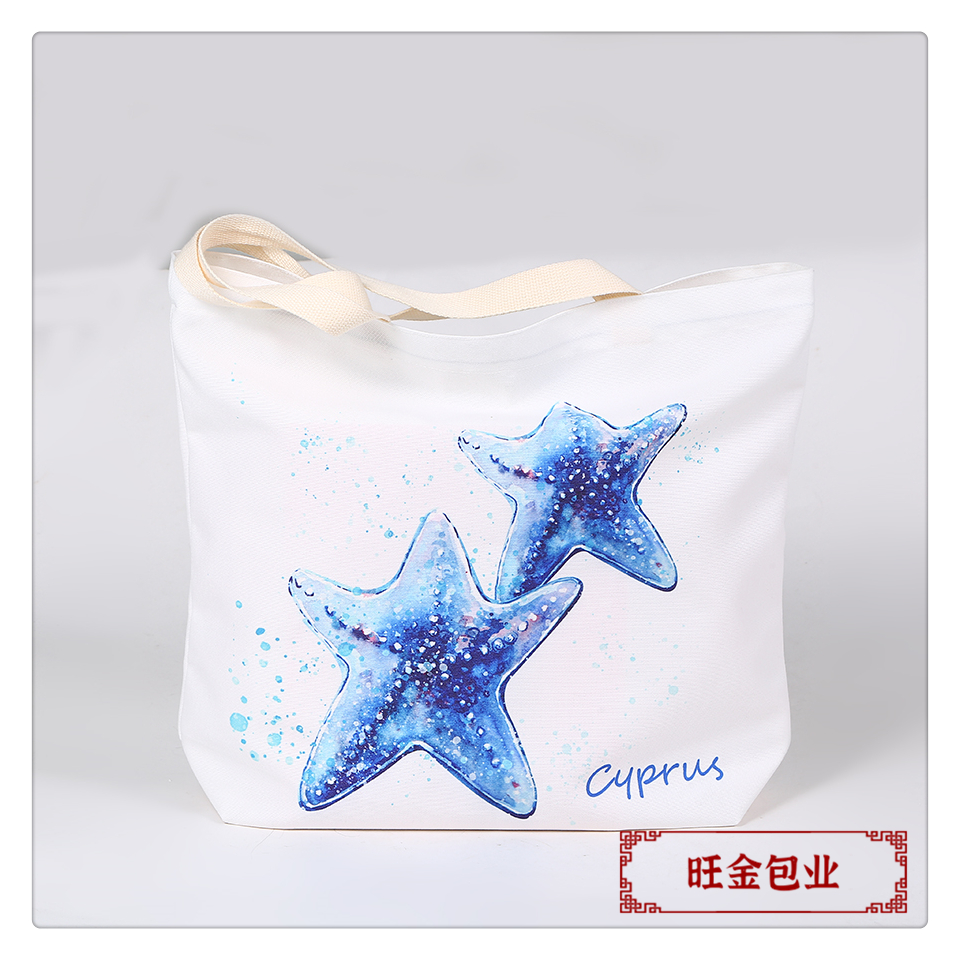 Canvas bag for female students 2024 New style, fresh and versatile single-shoulder bag, large-capacity hand-held cloth bag pic 7