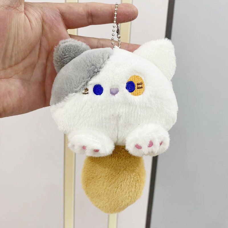 import白底实物图