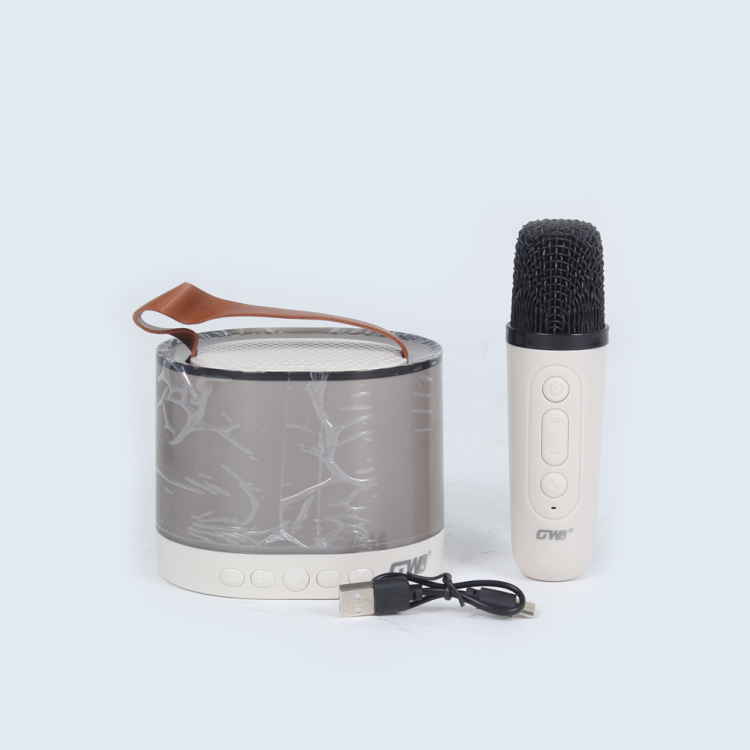 The G-116B Bluetooth Speaker Is A Portable Rbg Colorful Home Microphone And Audio Microphone For Live Streaming Specification drawing