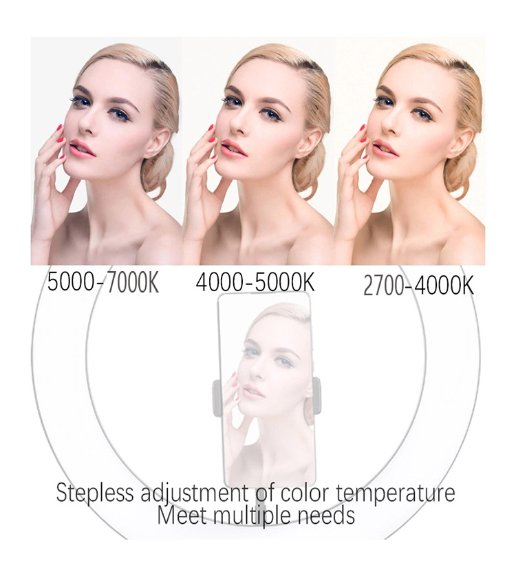 Crystal 8-inch 3D-20CM Ring light, photography light, ring light, live streaming light manufacturer pic 3