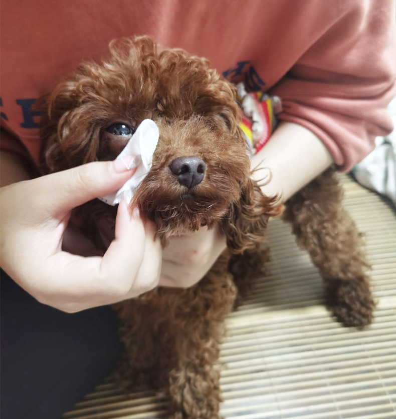 宠物清洁泪痕湿巾 130片无纺布材质眼部湿巾清洁眼垢犬猫通用湿巾详情8