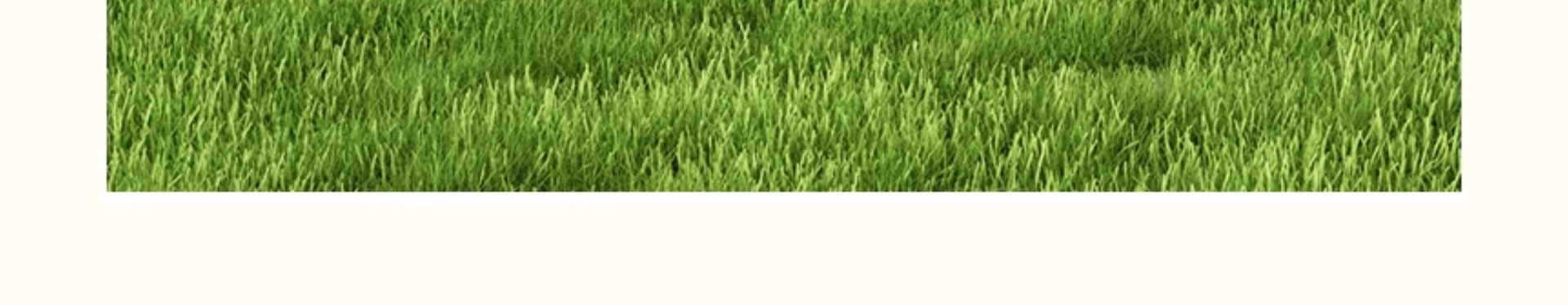 80抽婴儿湿巾婴幼儿新生手口屁专用宝宝儿童湿纸巾大包家庭装批发详情8