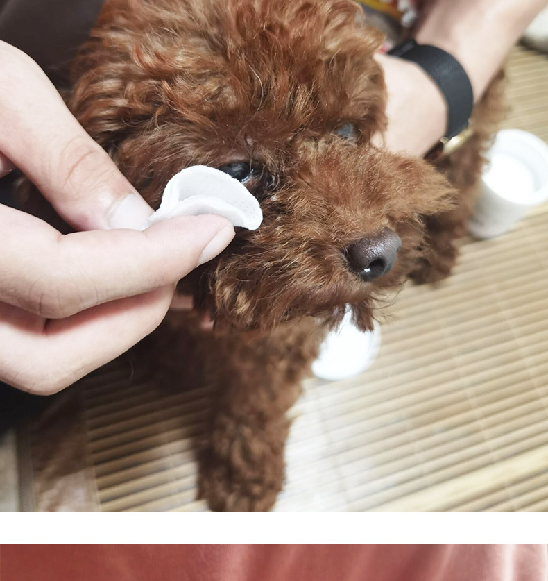 宠物清洁泪痕湿巾 130片无纺布材质眼部湿巾清洁眼垢犬猫通用湿巾详情7