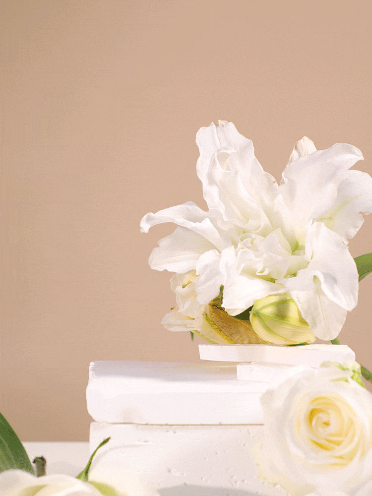 工厂直销黑色白色法式穿戴甲2023年高级平甲美甲店美甲甲片盒装详情4