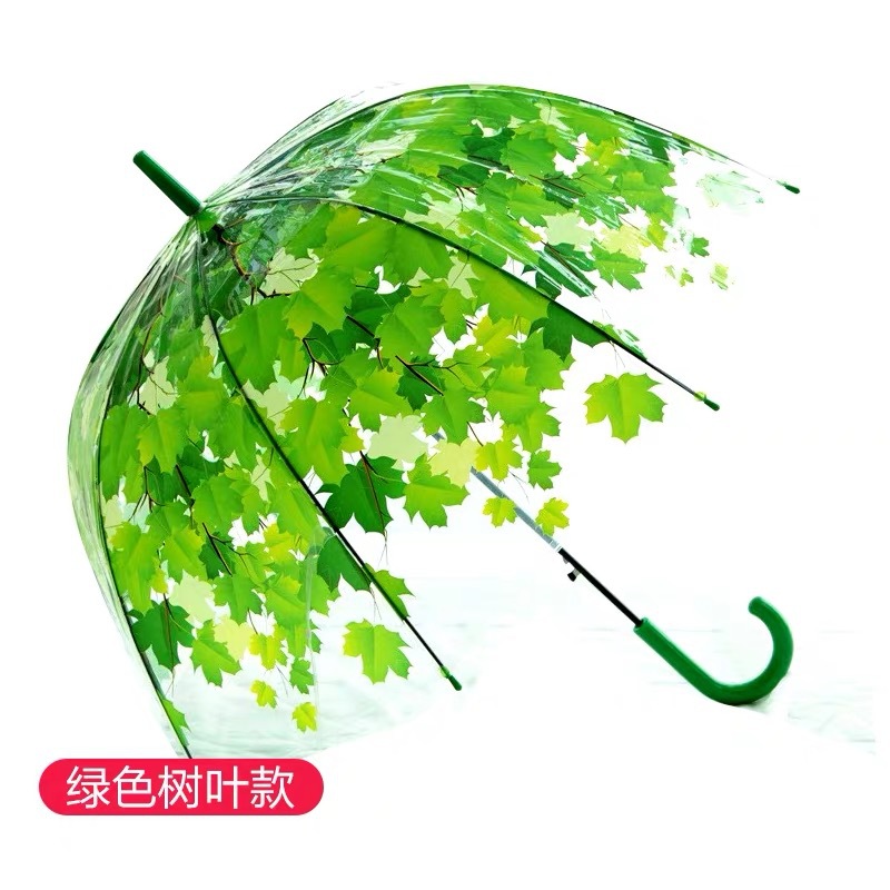24骨雨伞定制枫叶图案透明伞大雨伞防晒详情11