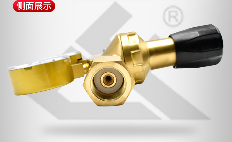 Italian ❨ carbon dioxide ❩ C02-01B industrial pressure reducer CO2 gas pressure reducer manufacturer pic 10