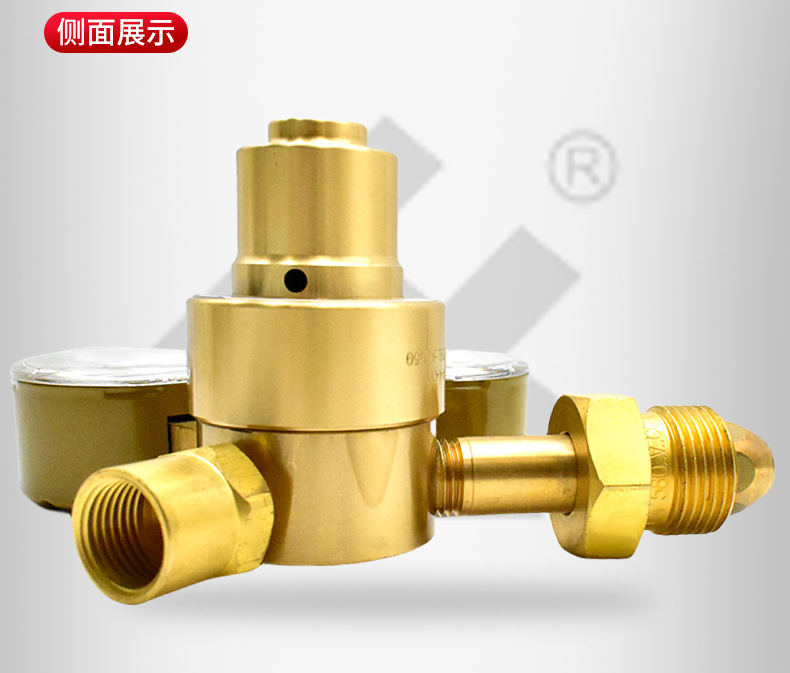 Youdaoplaceholder0 carbon dioxide ❩ AR-C02-01 industrial pressure reducer gas pressure reducer pic 10