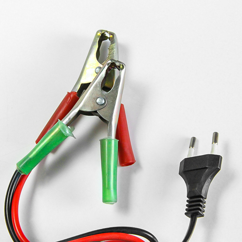 Car and motorcycle battery chargers 12V and 24V, intelligent automatic battery chargers for agricultural trucks, universal type pic 14