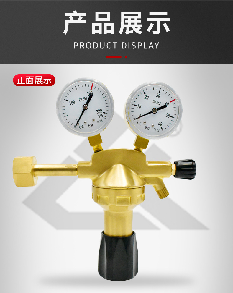 Italian ❨ carbon dioxide ❩ C02-01B industrial pressure reducer CO2 gas pressure reducer manufacturer pic 9