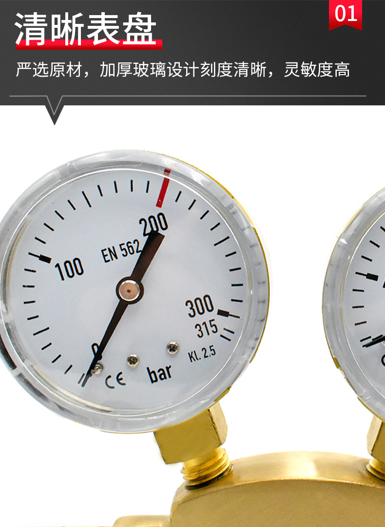 Italian ❨ carbon dioxide ❩ C02-01B industrial pressure reducer CO2 gas pressure reducer manufacturer pic 5