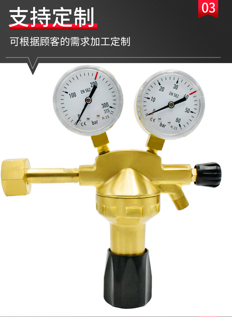 Italian ❨ carbon dioxide ❩ C02-01B industrial pressure reducer CO2 gas pressure reducer manufacturer pic 7