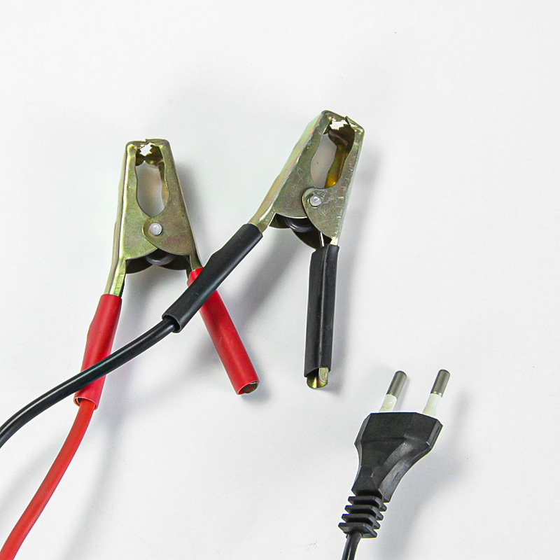 Universal 12V - 24V high-power fully automatic intelligent pulse repair car battery charger pic 7